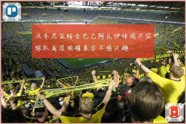 沃齐尼亚转会巴乙阿瓦伊传闻不实球队高层明确表示不感兴趣