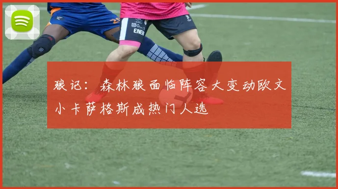 狼记：森林狼面临阵容大变动欧文小卡萨格斯成热门人选